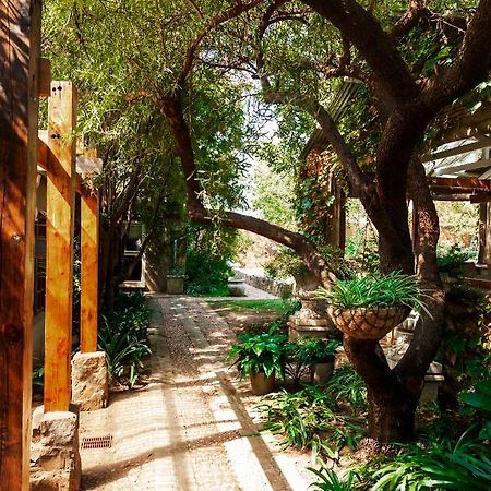 Town And Country Mpumalanga Hotel Middelburg  Bagian luar foto