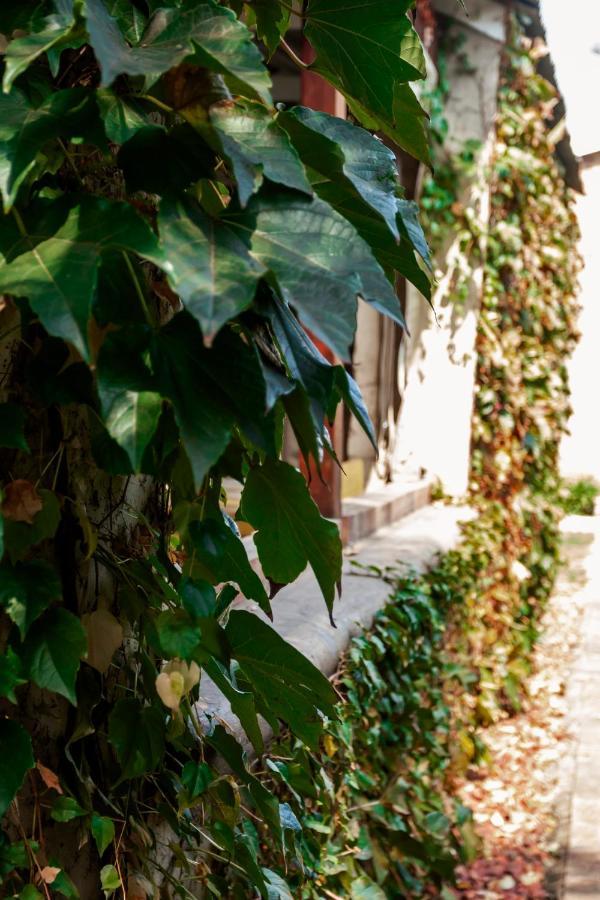 Town And Country Mpumalanga Hotel Middelburg  Bagian luar foto