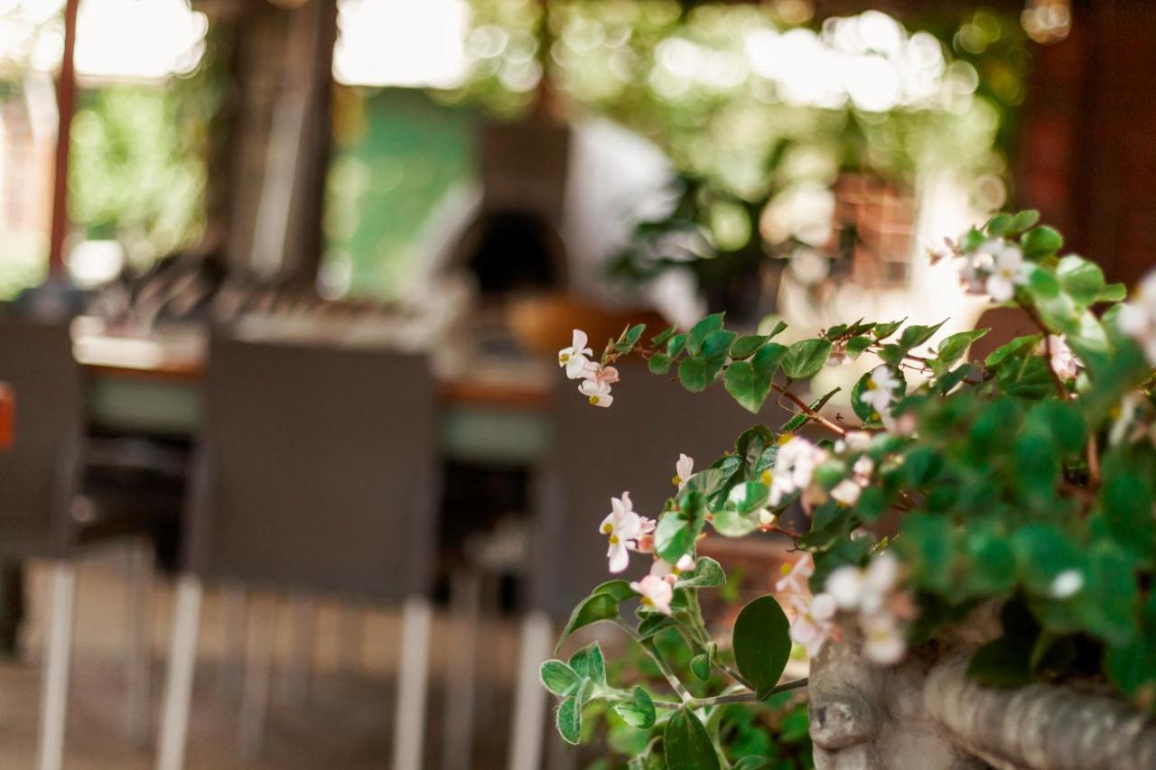 Town And Country Mpumalanga Hotel Middelburg  Bagian luar foto